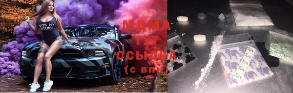 гашик Касимов