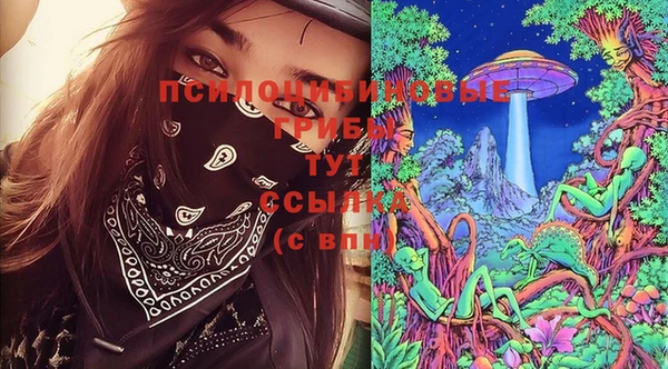 скорость Козловка