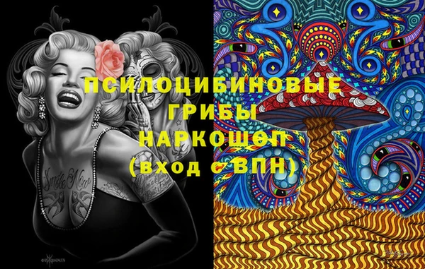 гашик Касимов