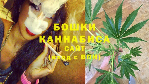 дурь Козельск