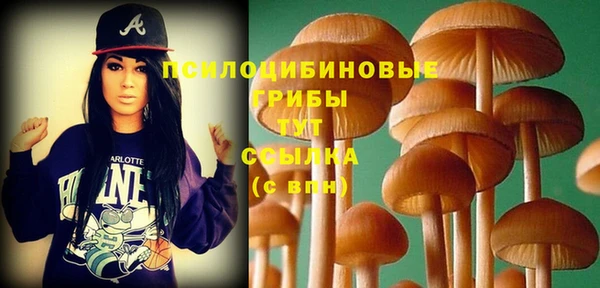 стаф Каменск-Шахтинский