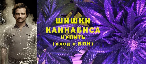 дурь Козельск